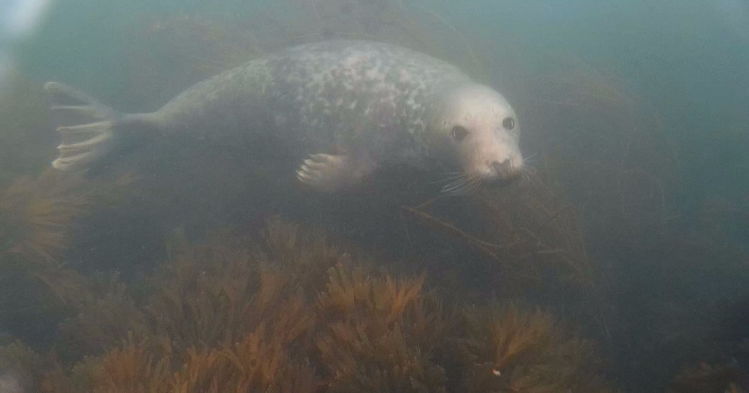 2019_0914_104224_155_Moment(2)